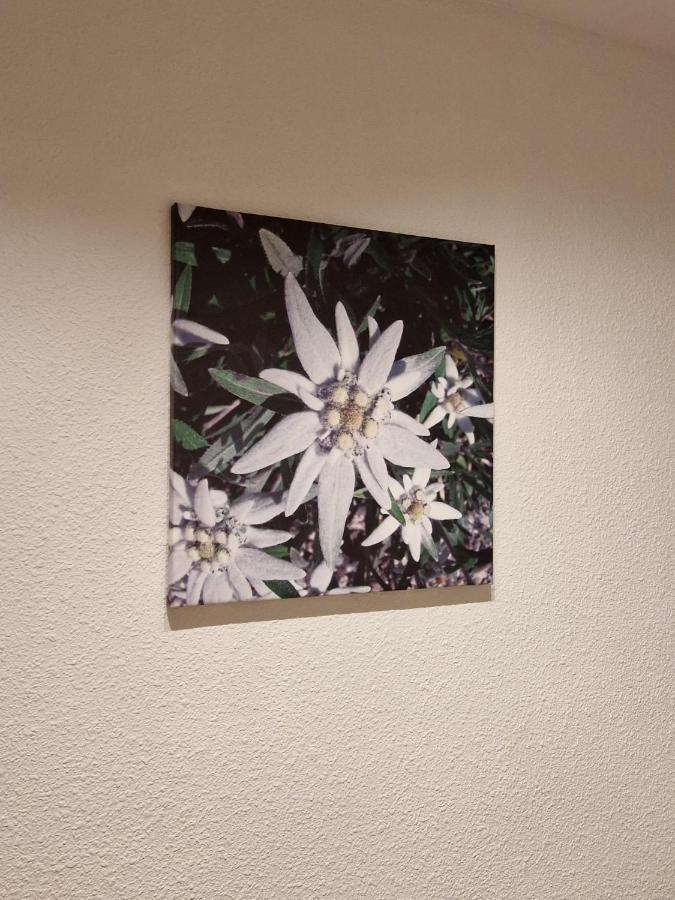 哈卡Flor De Nieve公寓 外观 照片